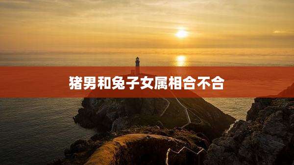 猪男和兔子女属相合不合