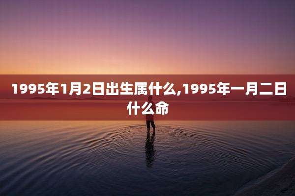 1995年1月2日出生属什么,1995年一月二日什么命