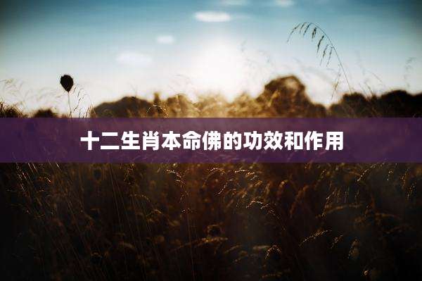 十二生肖本命佛的功效和作用