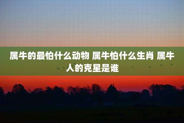 属牛的最怕什么动物 属牛怕什么生肖 属牛人的克星是谁