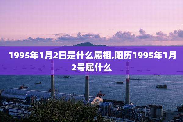 1995年1月2日是什么属相,阳历1995年1月2号属什么