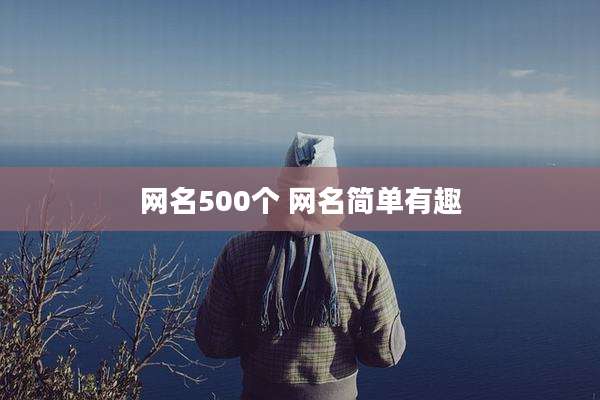 网名500个 网名简单有趣