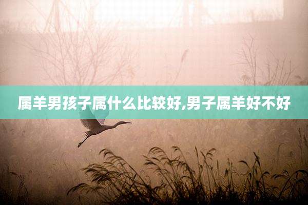 属羊男孩子属什么比较好,男子属羊好不好