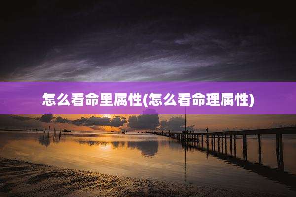 怎么看命里属性(怎么看命理属性)