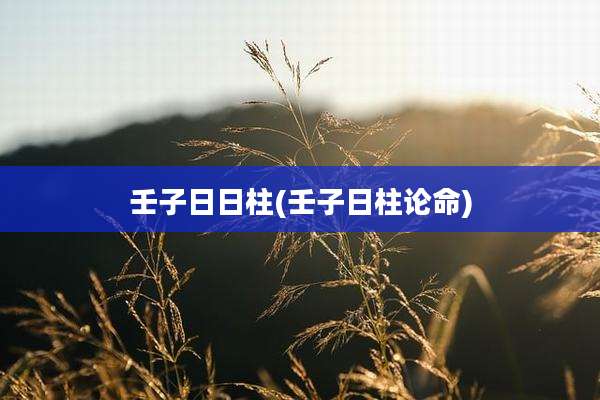 壬子日日柱(壬子日柱论命)