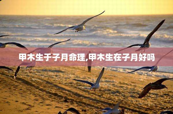 甲木生于子月命理,甲木生在子月好吗