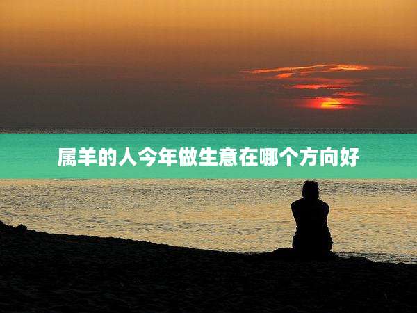 属羊的人今年做生意在哪个方向好