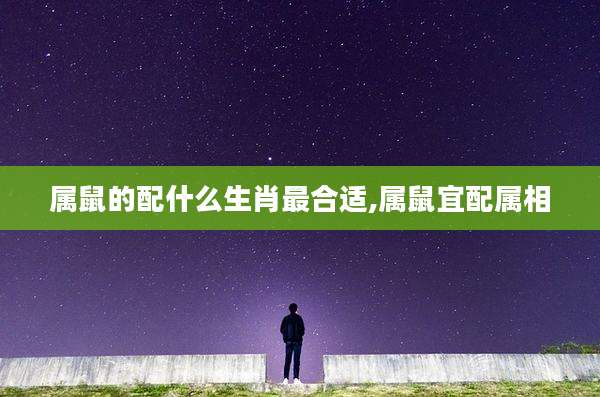 属鼠的配什么生肖最合适,属鼠宜配属相