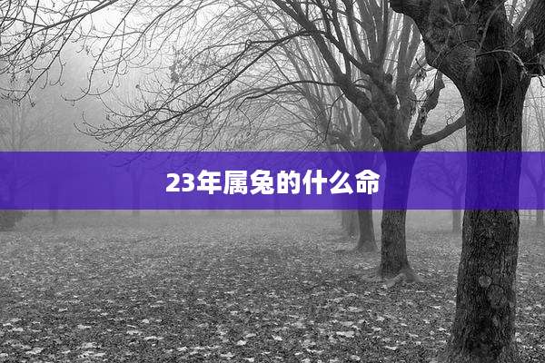 23年属兔的什么命