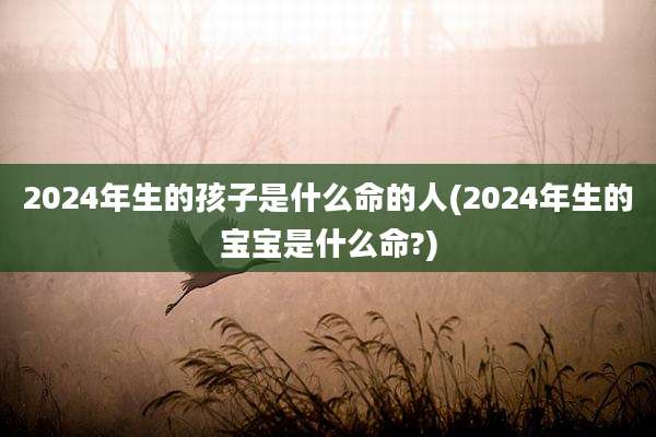 2024年生的孩子是什么命的人(2024年生的宝宝是什么命?)