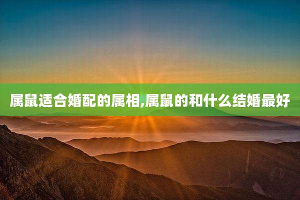 属鼠适合婚配的属相,属鼠的和什么结婚最好