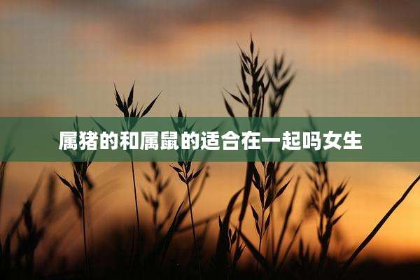 属猪的和属鼠的适合在一起吗女生
