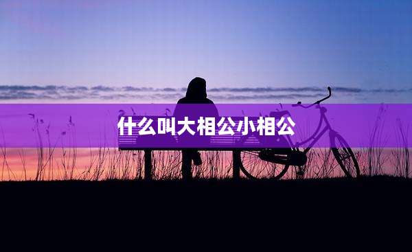 什么叫大相公小相公