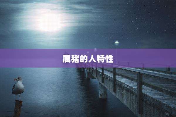 属猪的人特性