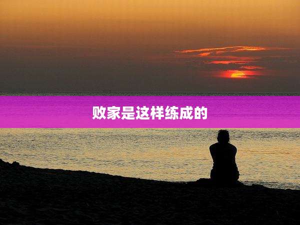 败家是这样练成的