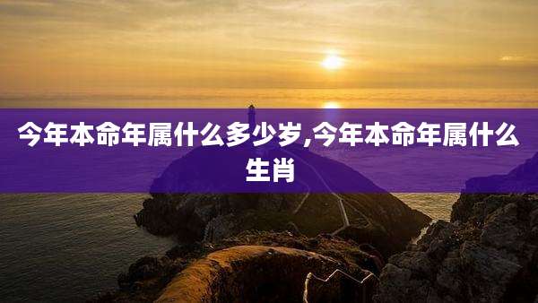 今年本命年属什么多少岁,今年本命年属什么生肖