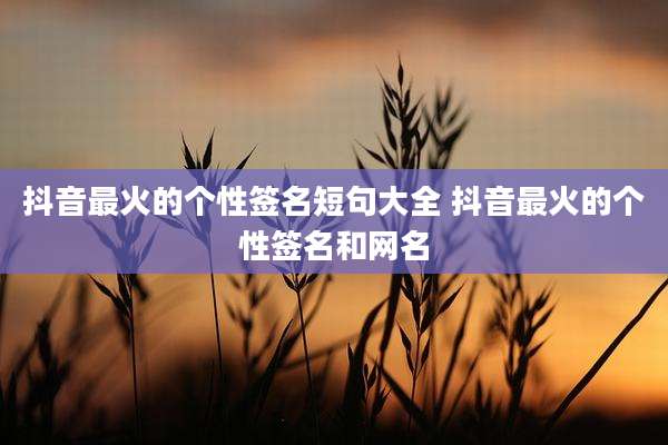 抖音最火的个性签名短句大全 抖音最火的个性签名和网名