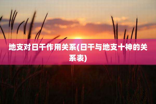 地支对日干作用关系(日干与地支十神的关系表)