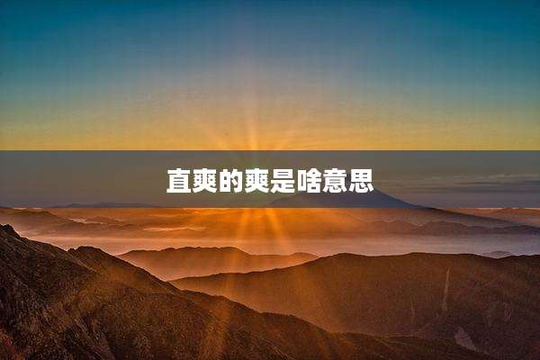 直爽的爽是啥意思