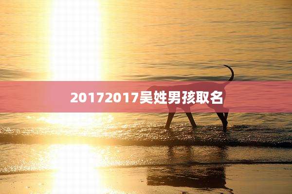 20172017吴姓男孩取名