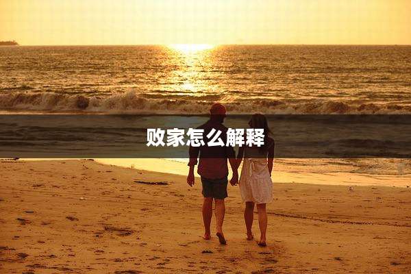 败家怎么解释