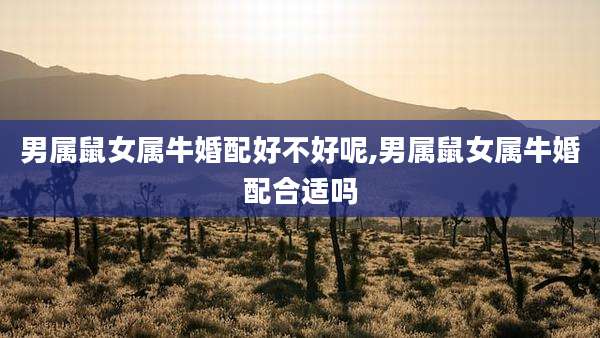 男属鼠女属牛婚配好不好呢,男属鼠女属牛婚配合适吗