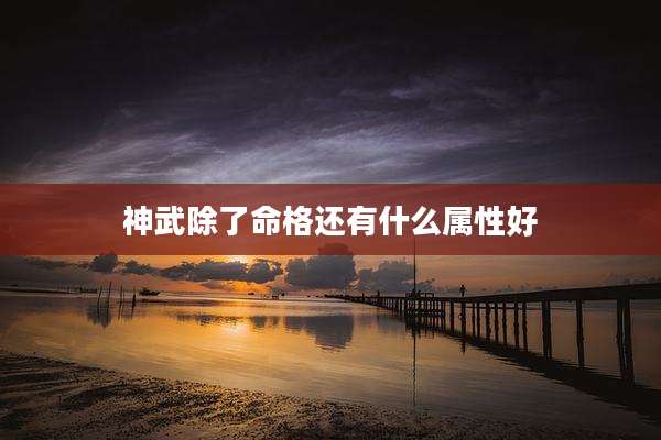 神武除了命格还有什么属性好