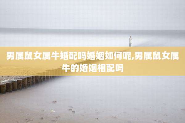 男属鼠女属牛婚配吗婚姻如何呢,男属鼠女属牛的婚姻相配吗