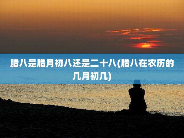 腊八是腊月初八还是二十八(腊八在农历的几月初几)
