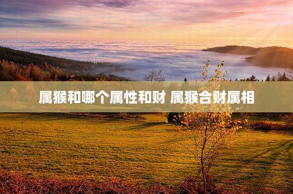 属猴和哪个属性和财 属猴合财属相