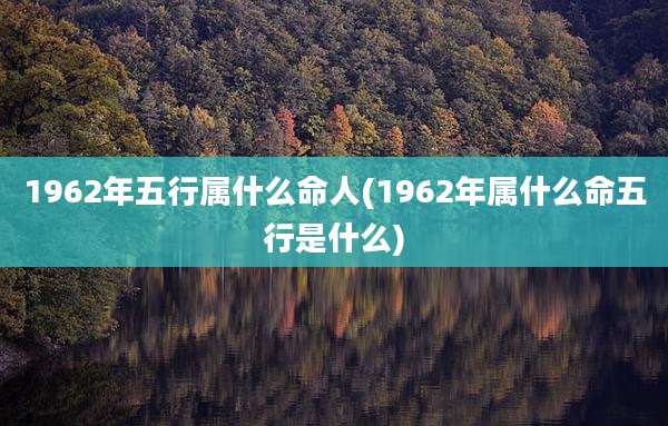 1962年五行属什么命人(1962年属什么命五行是什么)