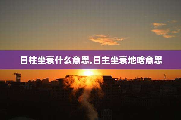 日柱坐衰什么意思,日主坐衰地啥意思