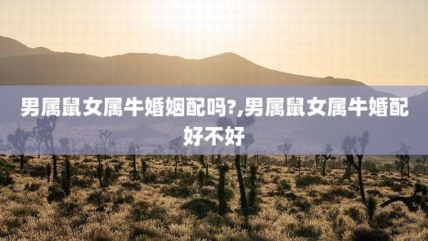 男属鼠女属牛婚姻配吗?,男属鼠女属牛婚配好不好