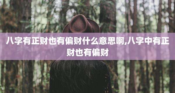 八字有正财也有偏财什么意思啊,八字中有正财也有偏财