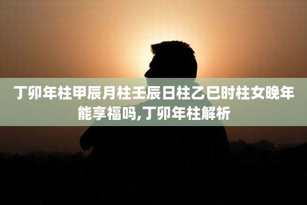 丁卯年柱甲辰月柱壬辰日柱乙巳时柱女晚年能享福吗,丁卯年柱解析