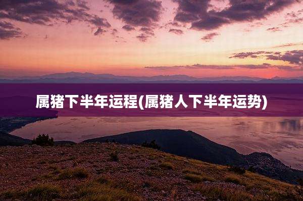 属猪下半年运程(属猪人下半年运势)