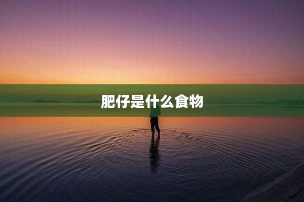 肥仔是什么食物