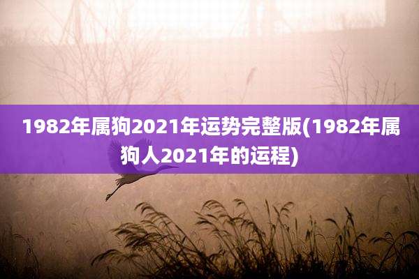 1982年属狗2021年运势完整版(1982年属狗人2021年的运程)