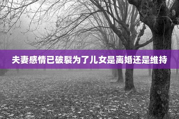 夫妻感情已破裂为了儿女是离婚还是维持