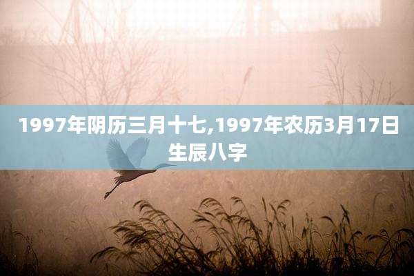 1997年阴历三月十七,1997年农历3月17日生辰八字