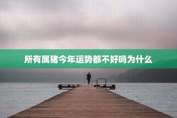 所有属猪今年运势都不好吗为什么
