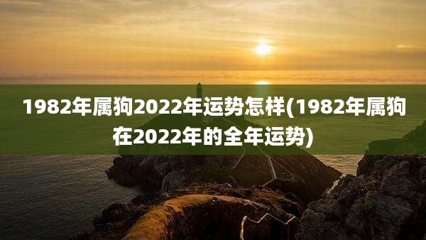 1982年属狗2022年运势怎样(1982年属狗在2022年的全年运势)