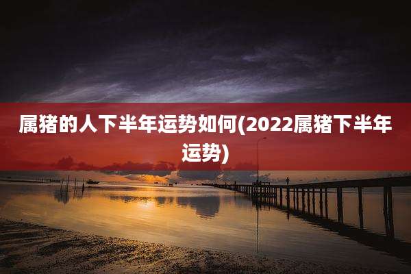 属猪的人下半年运势如何(2022属猪下半年运势)