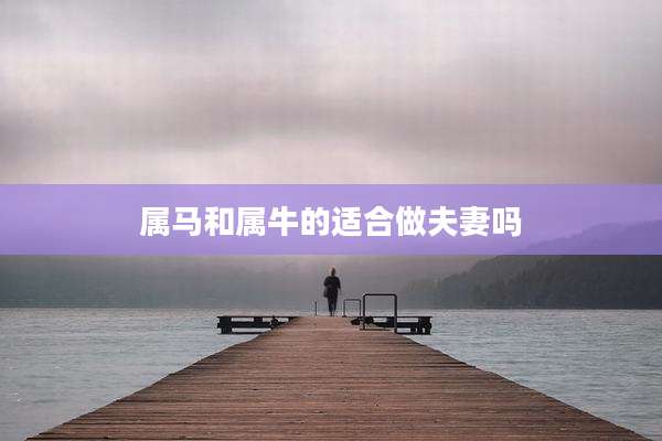 属马和属牛的适合做夫妻吗