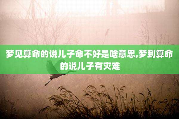 梦见算命的说儿子命不好是啥意思,梦到算命的说儿子有灾难