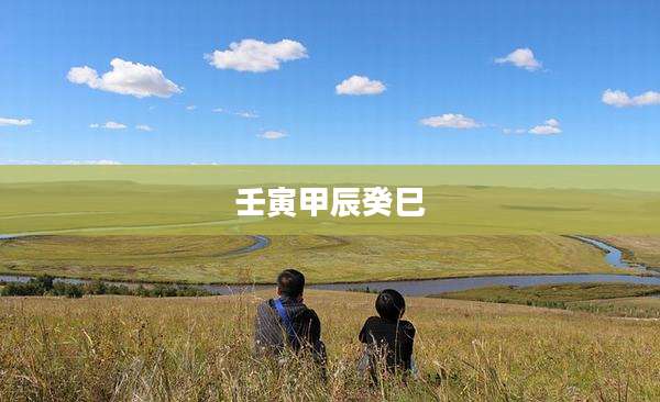 壬寅甲辰癸巳