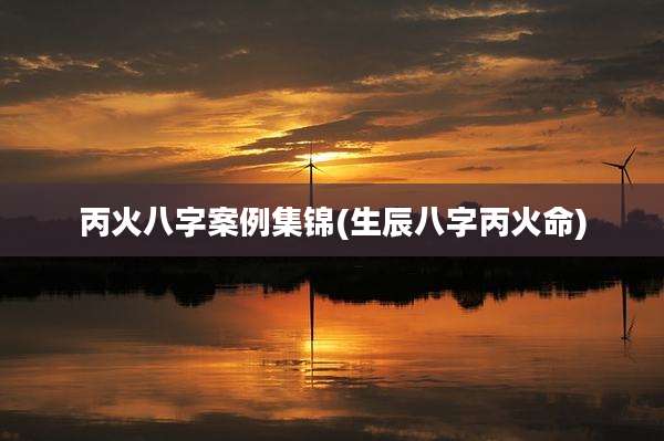 丙火八字案例集锦(生辰八字丙火命)