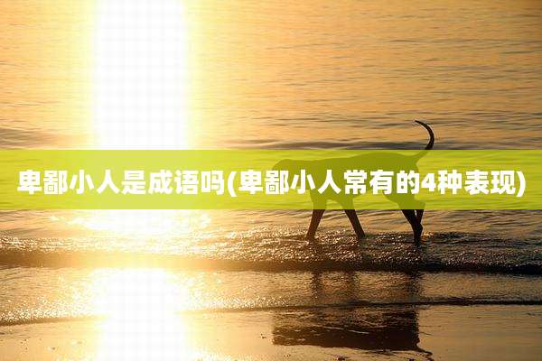 卑鄙小人是成语吗(卑鄙小人常有的4种表现)