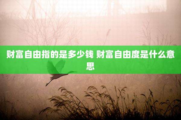 财富自由指的是多少钱 财富自由度是什么意思