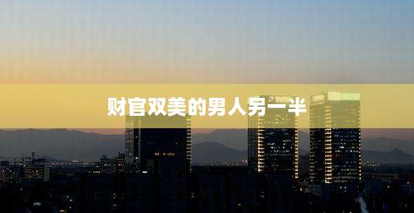 财官双美的男人另一半